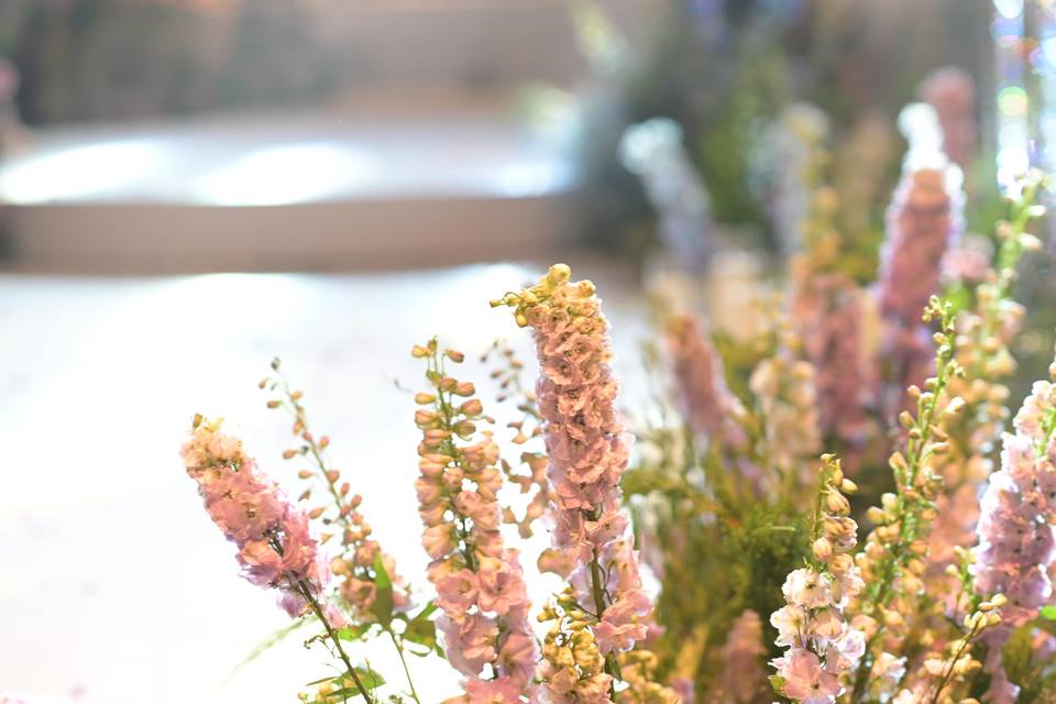 European-Inspired Garden Roman