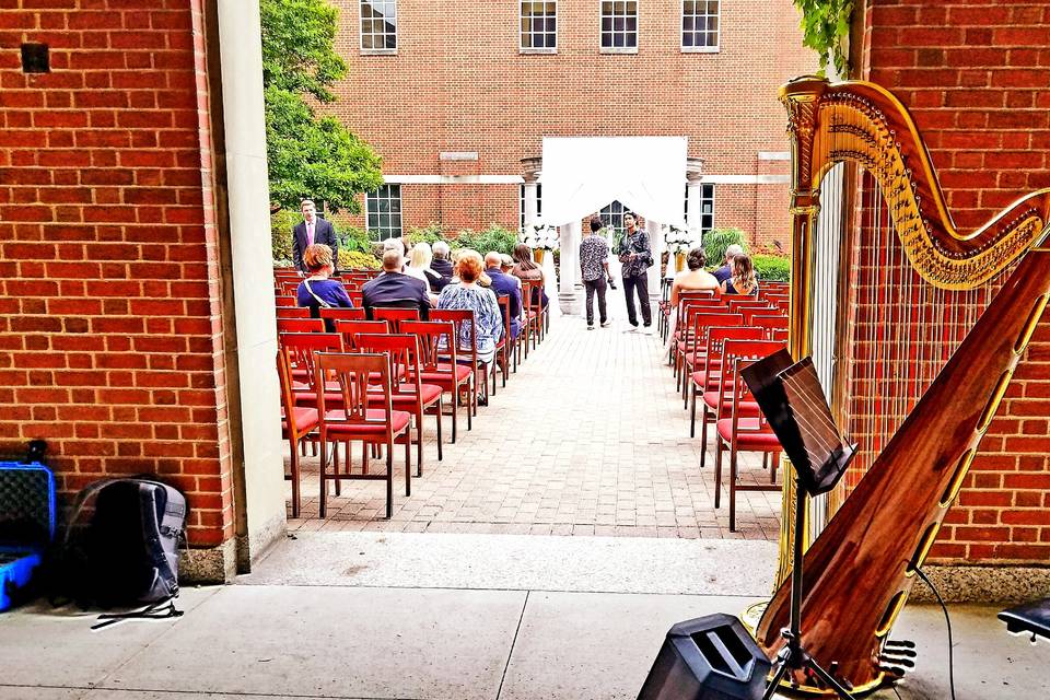 Chanah Ambuter, Michigan Harpist