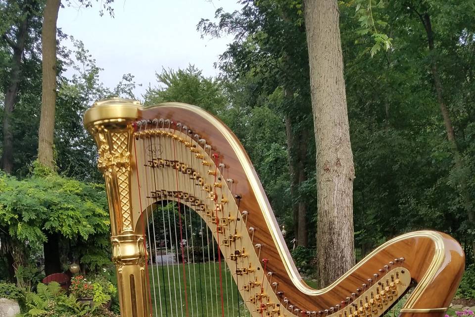 Chanah Ambuter, Michigan Harpist