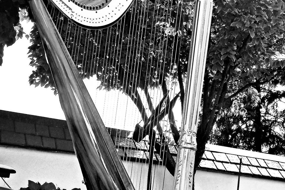 Chanah Ambuter, Michigan Harpist