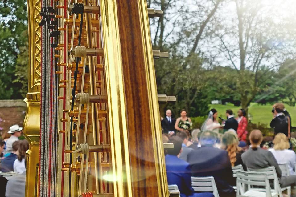 Chanah Ambuter, Michigan Harpist
