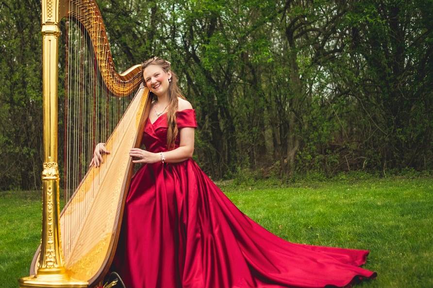 Chanah Ambuter, Michigan Harpist