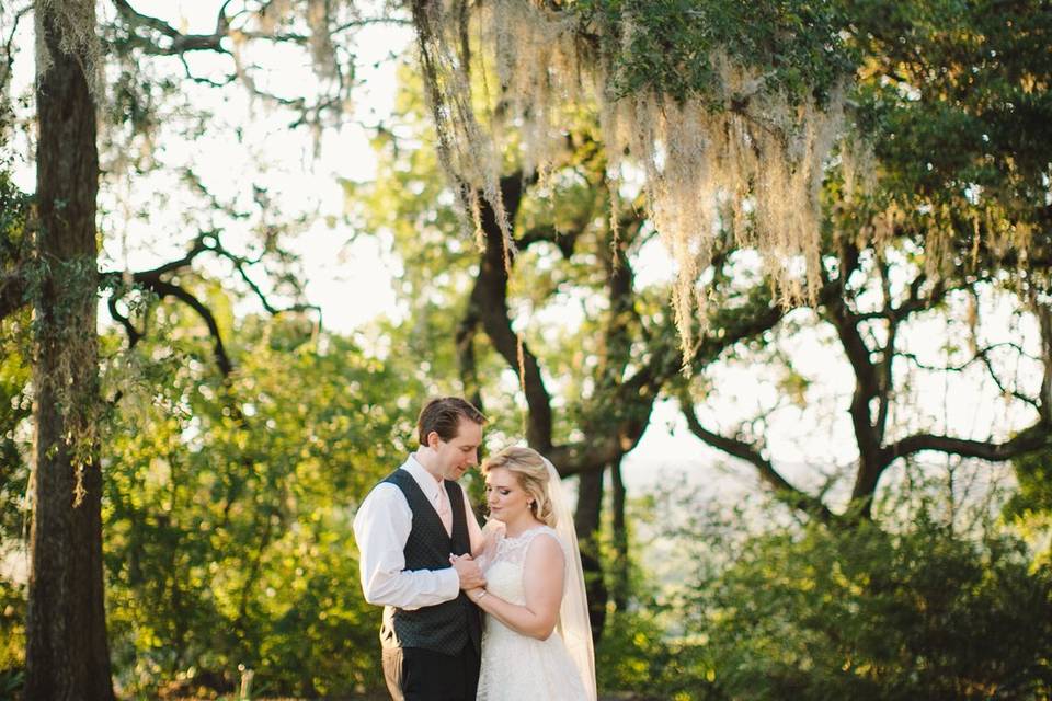 Under the moss tree