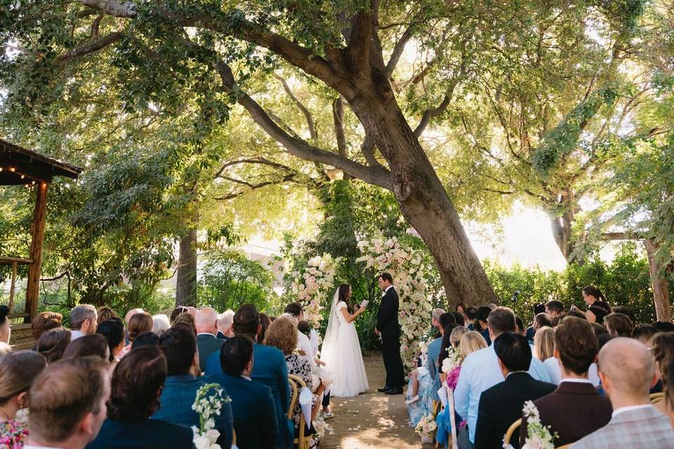 Getting married under a tree
