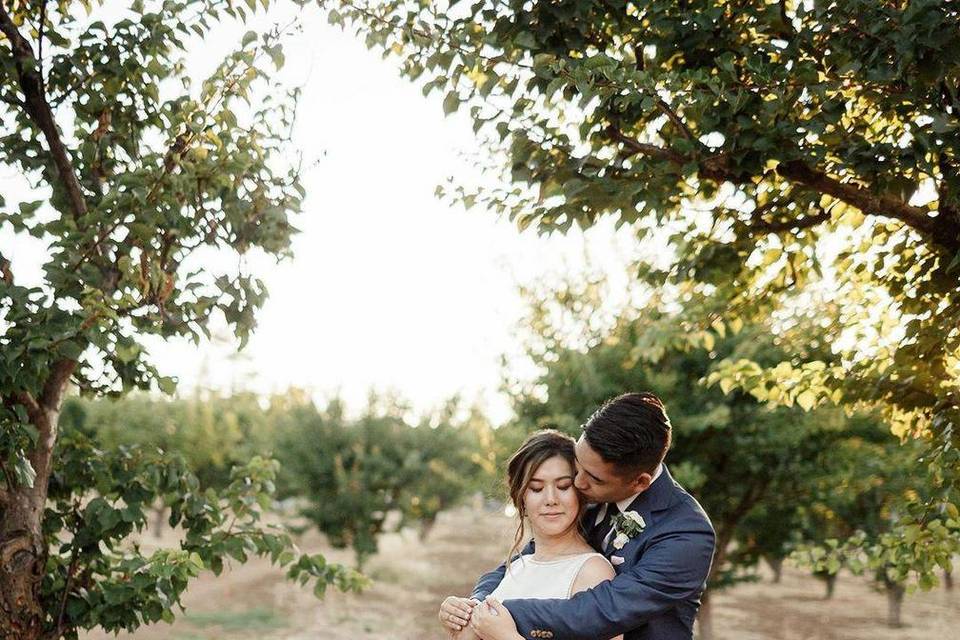 Couple in apricot orchard