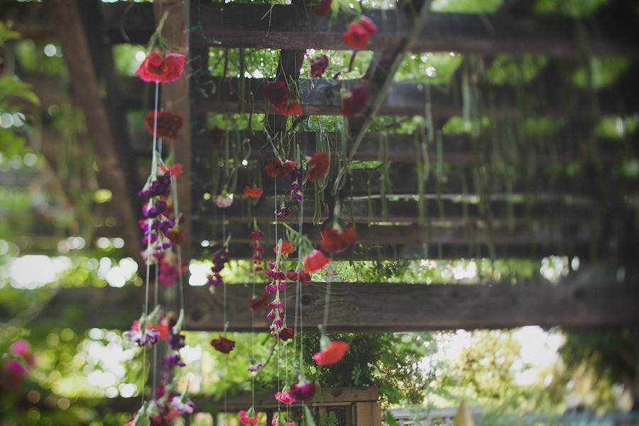 Flowers hanging from pergola
