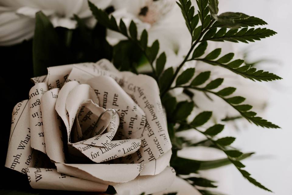 Tiffany Kristine Photography