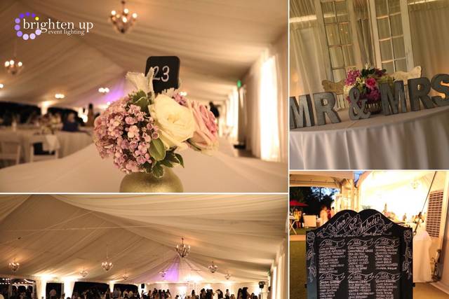 Gold Uplighting @ Haggin Oaks