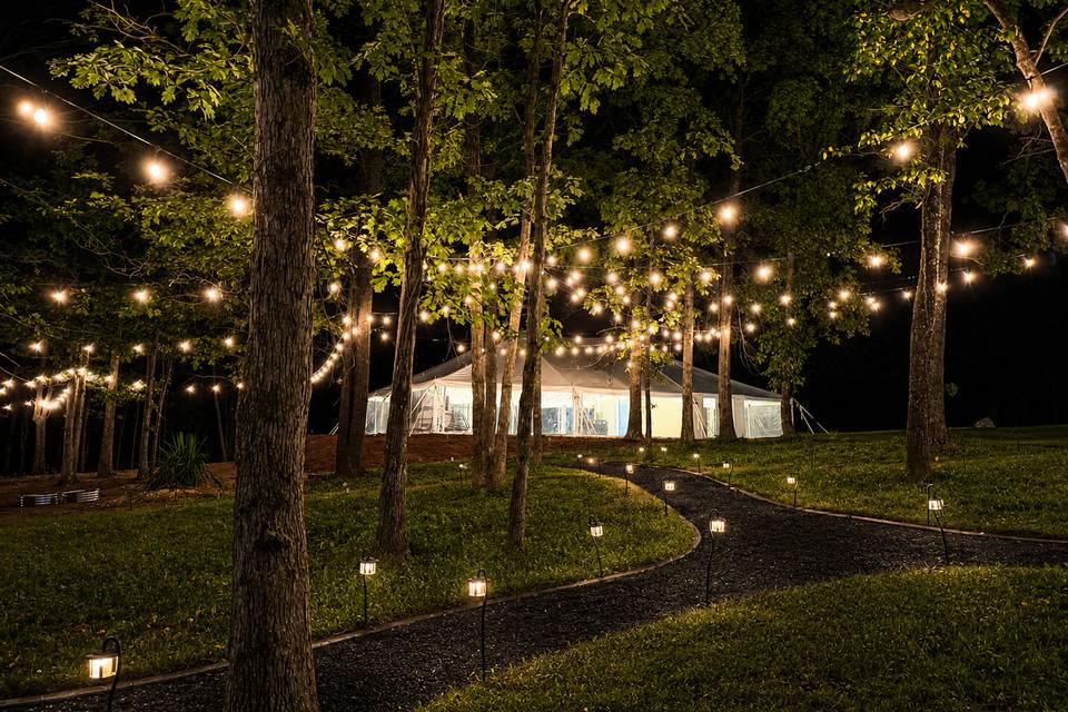 Reception & walk path