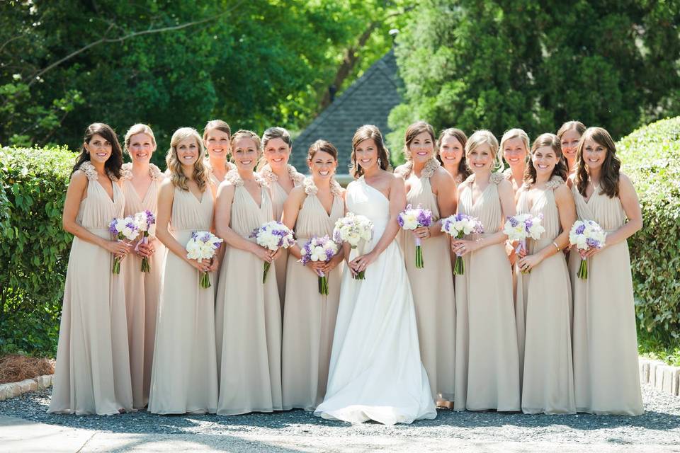 The bride with her bridesmaids