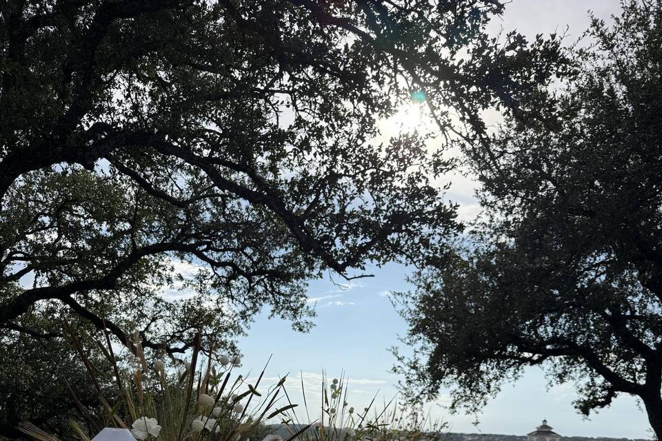 IMG_4895.jpeg