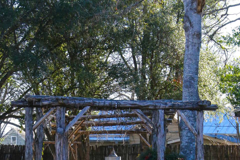View into the Texas Garden