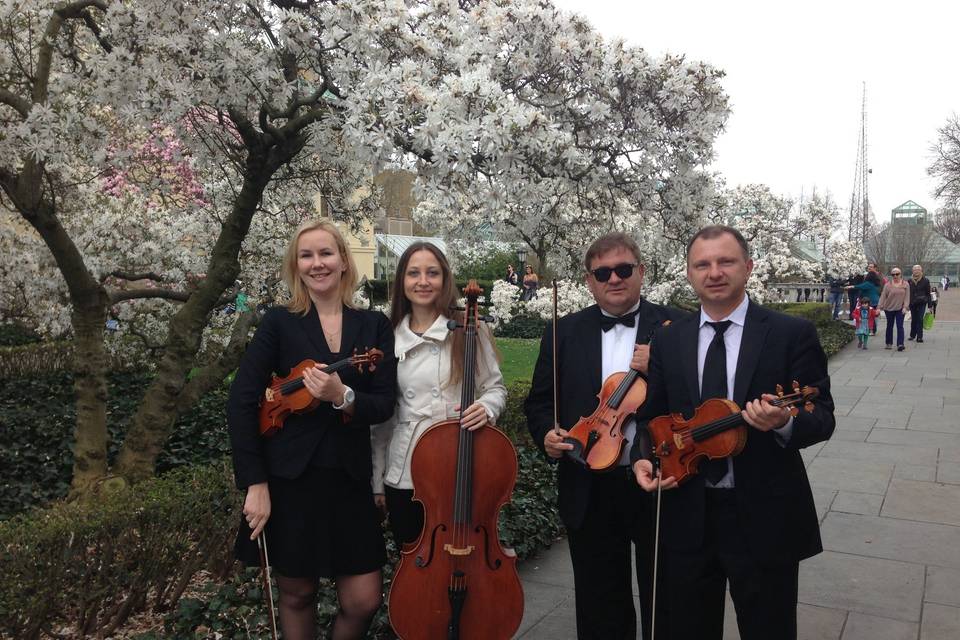 Wedding musicians