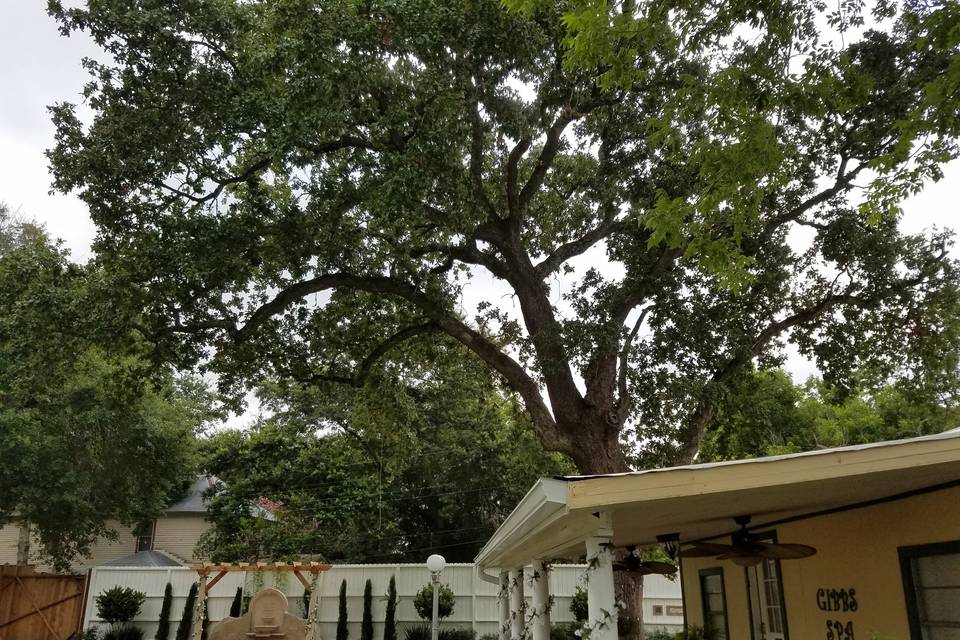 Gibbs Street Manor