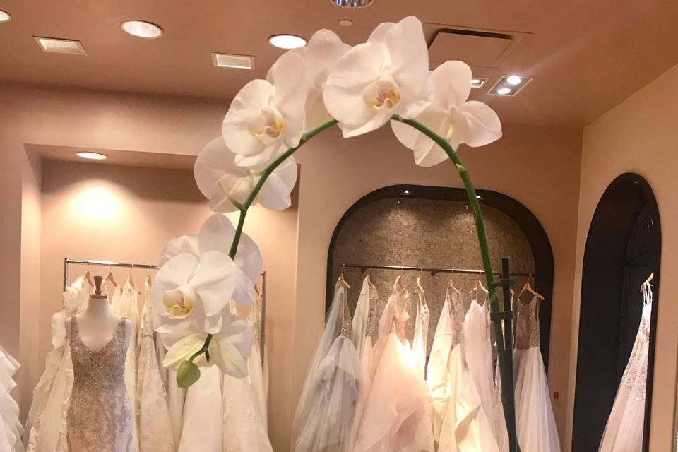 Dress Your Fancy Bridal Boutique