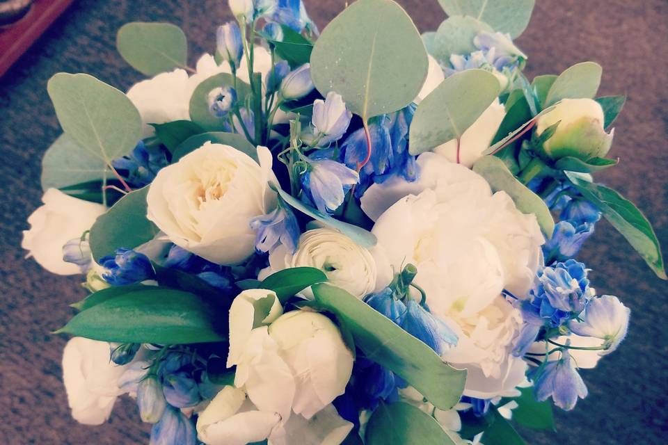 White peonies, blue hybrid well I and white mondials