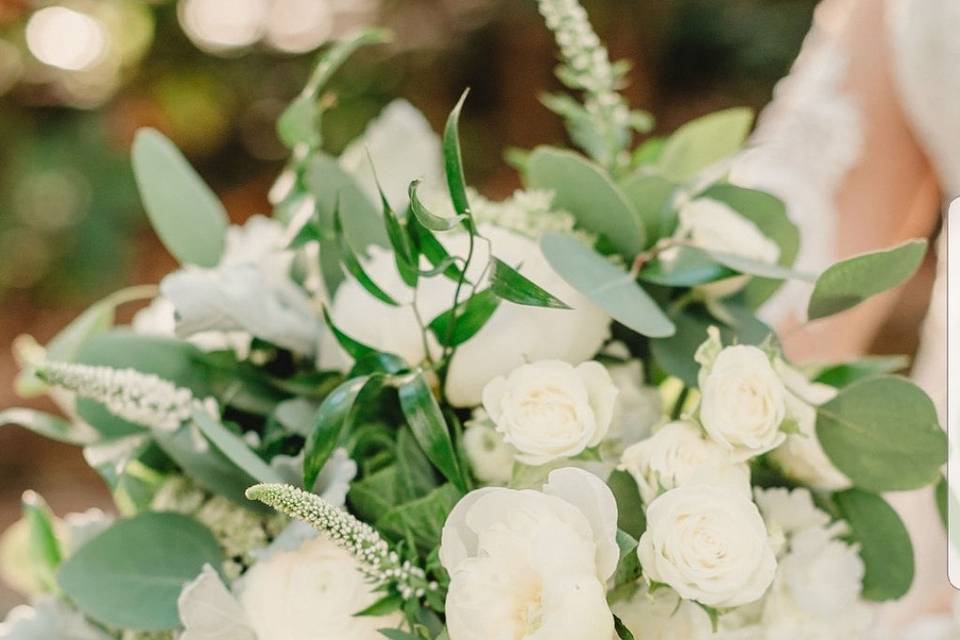 White ranunculus