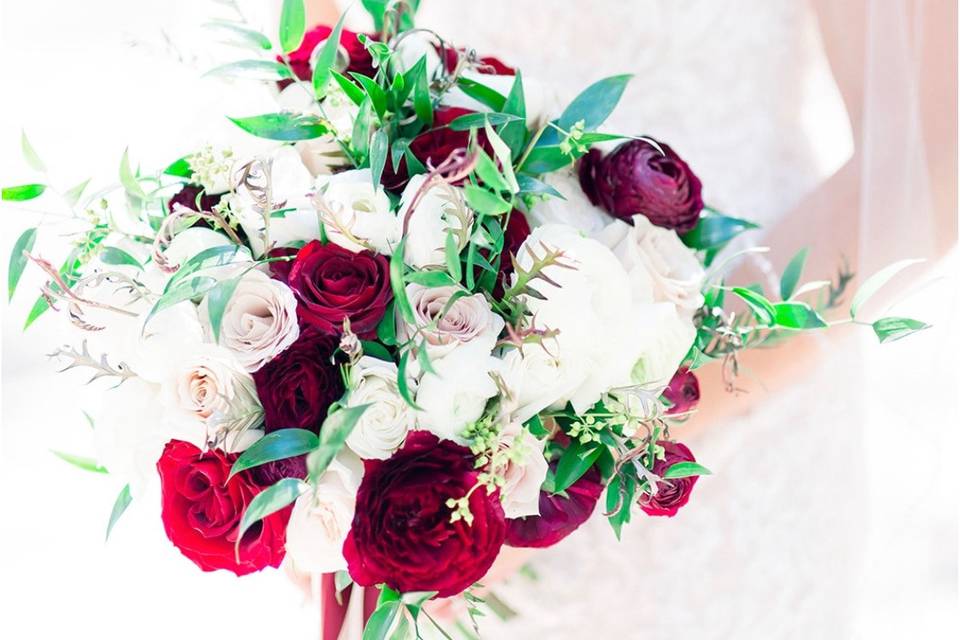 Burgandy Ranunculus