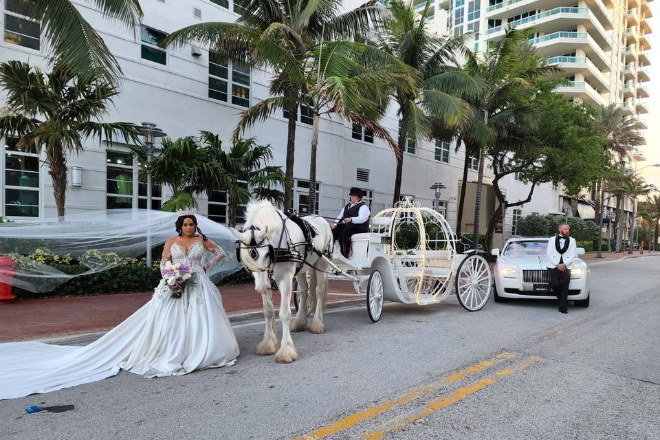 Horse & Carriage with Rolls
