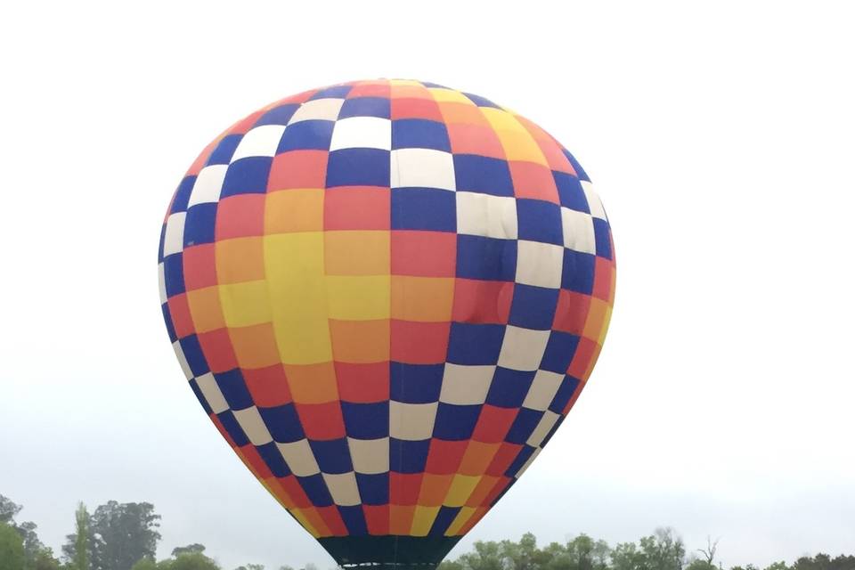 Napa hot air balloon launch