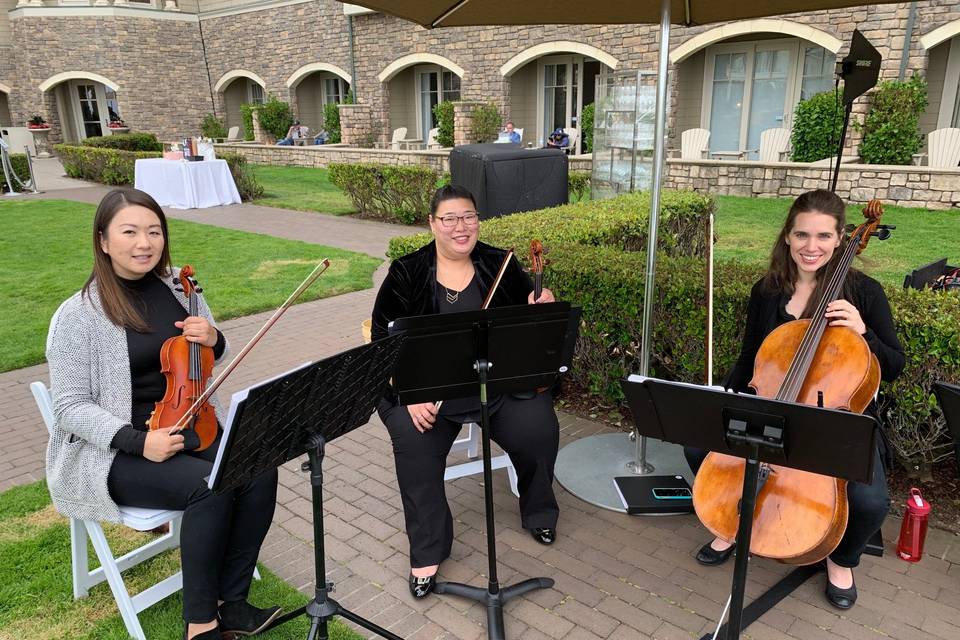 String Trio