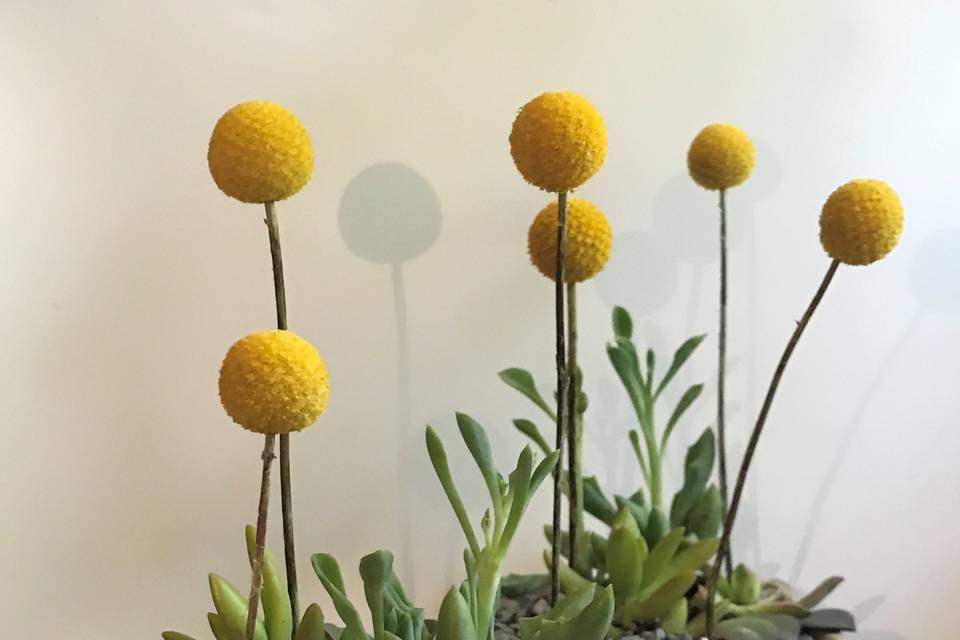Flower balls
