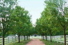 Cloverleaf Farm
