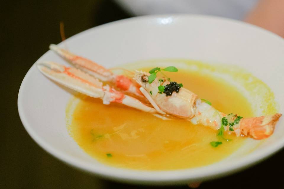 Shrimp