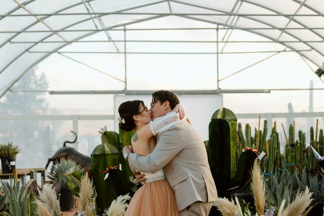 Cactus Joes elopement