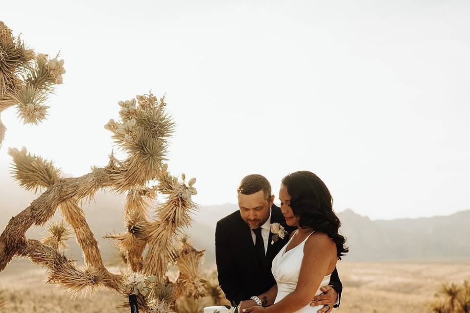 Elopement Las Vegas