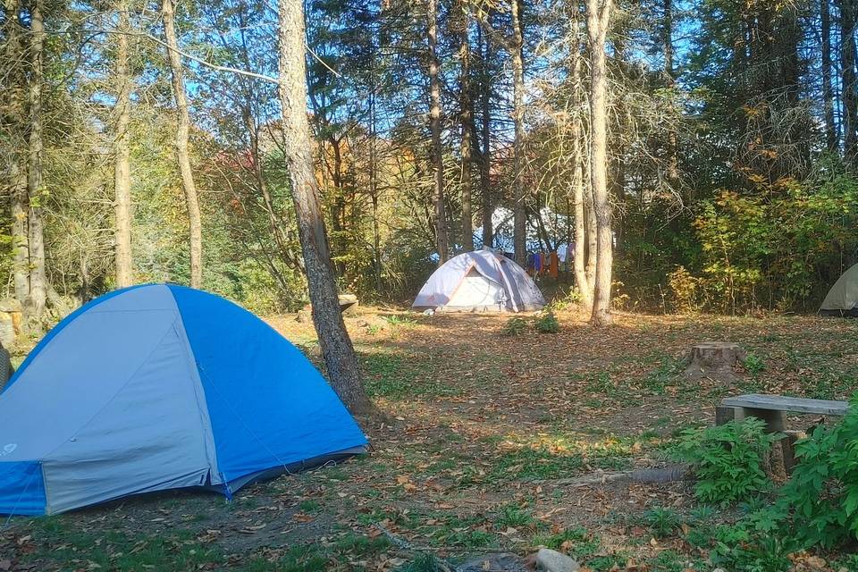 serene tenting