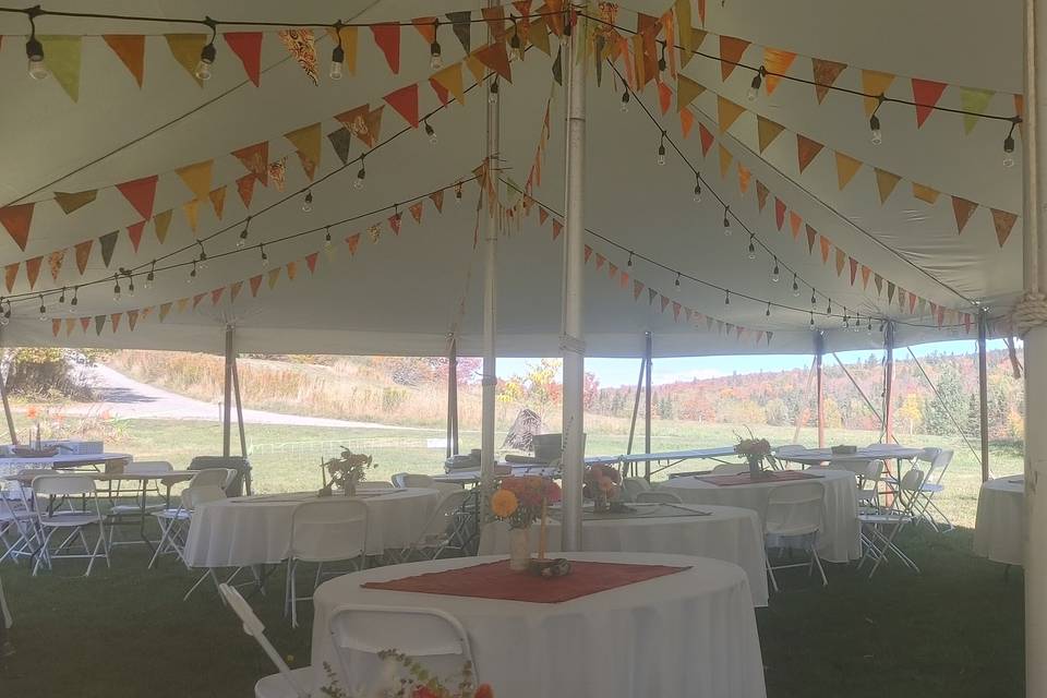 setting up the tent
