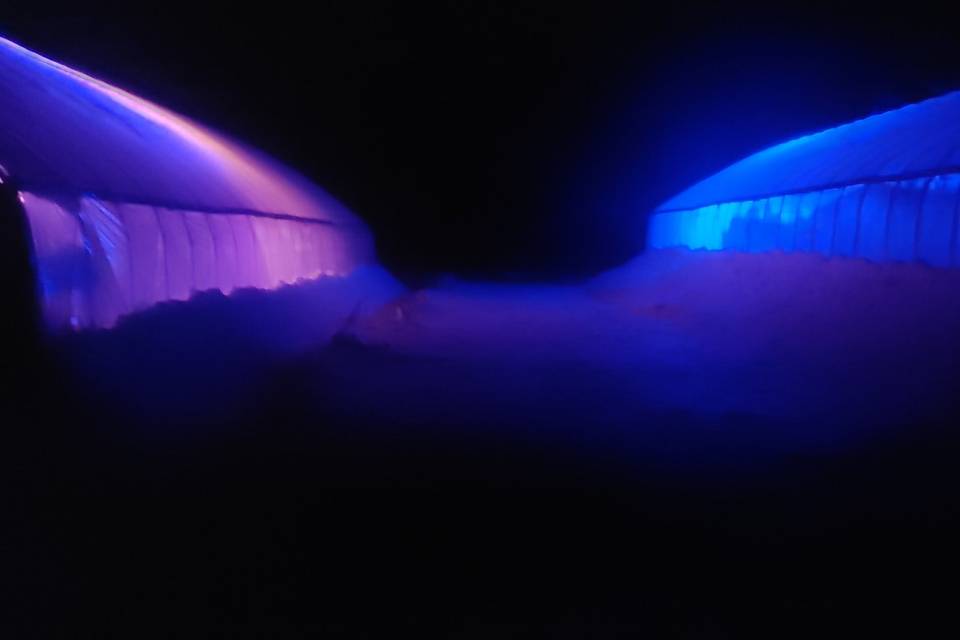 greenhouse at night