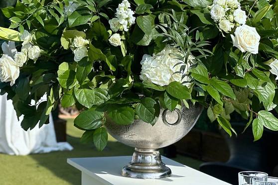 White House Flowers + Experiences