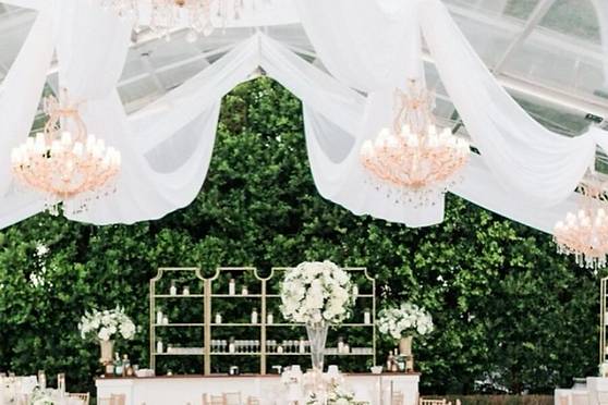 White House Flowers + Experiences