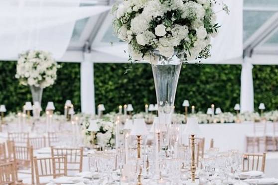 White House Flowers + Experiences
