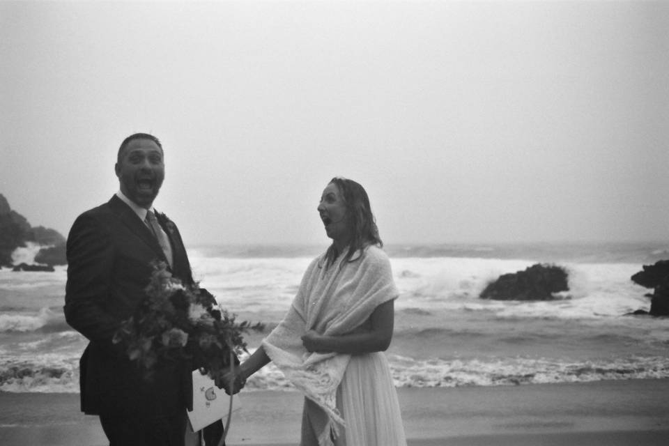 Allison Bird Photography