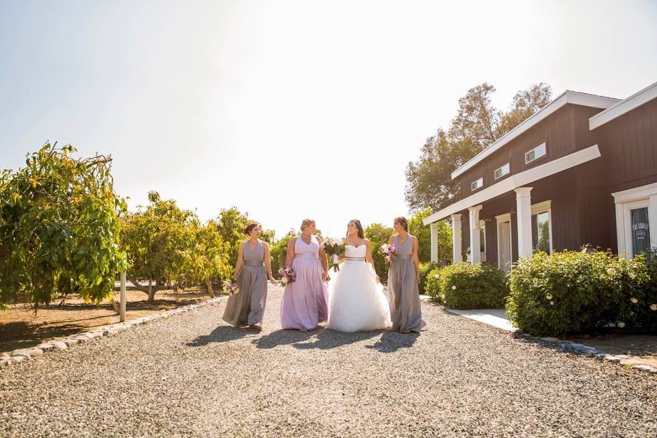 Allison Bird Photography