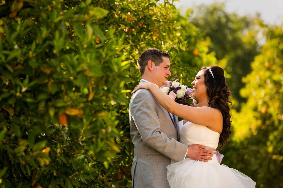 Allison Bird Photography