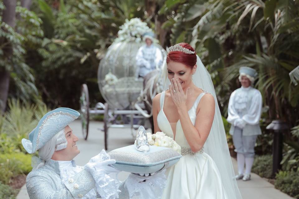 Blushing Bride Photo Video