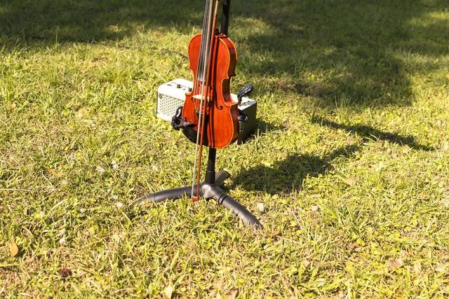 Bridges and Bows Violin Studio