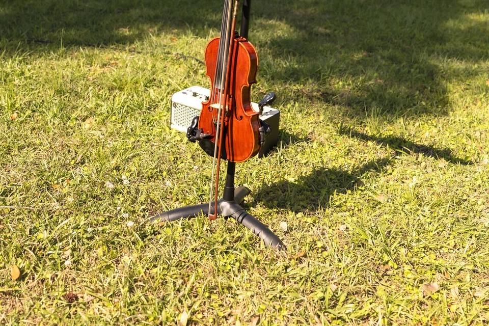 Bridges and Bows Violin Studio