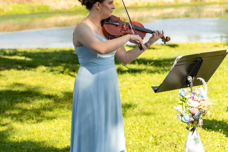 Bridges and Bows Violin Studio
