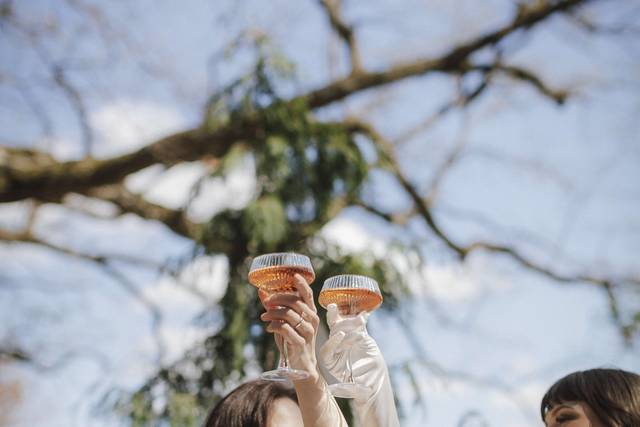 Bride and Bride Toast