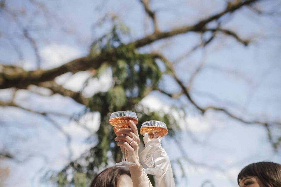 Bride and Bride Toast