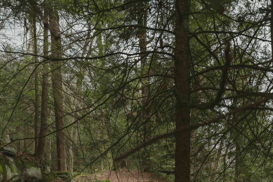 Cuyahoga Valley Elopement