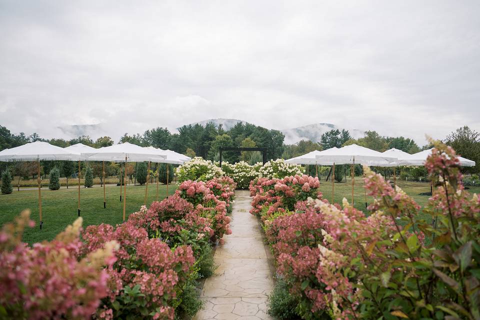 The Meadows