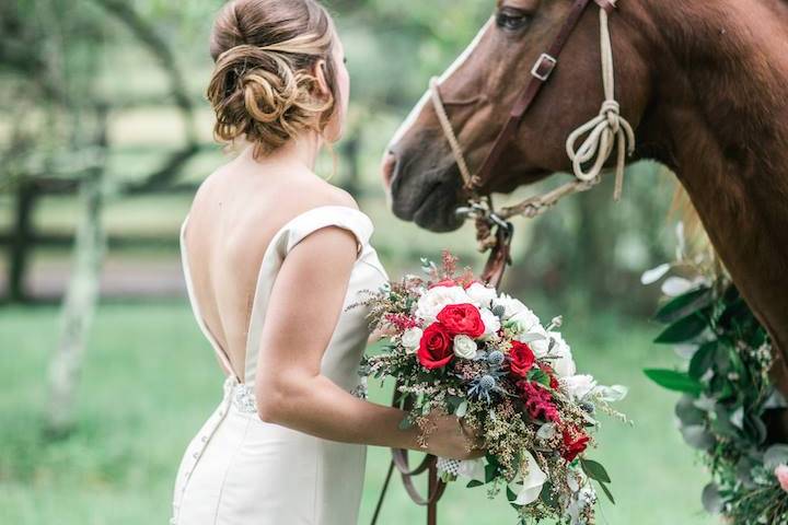 Bride and her Mare