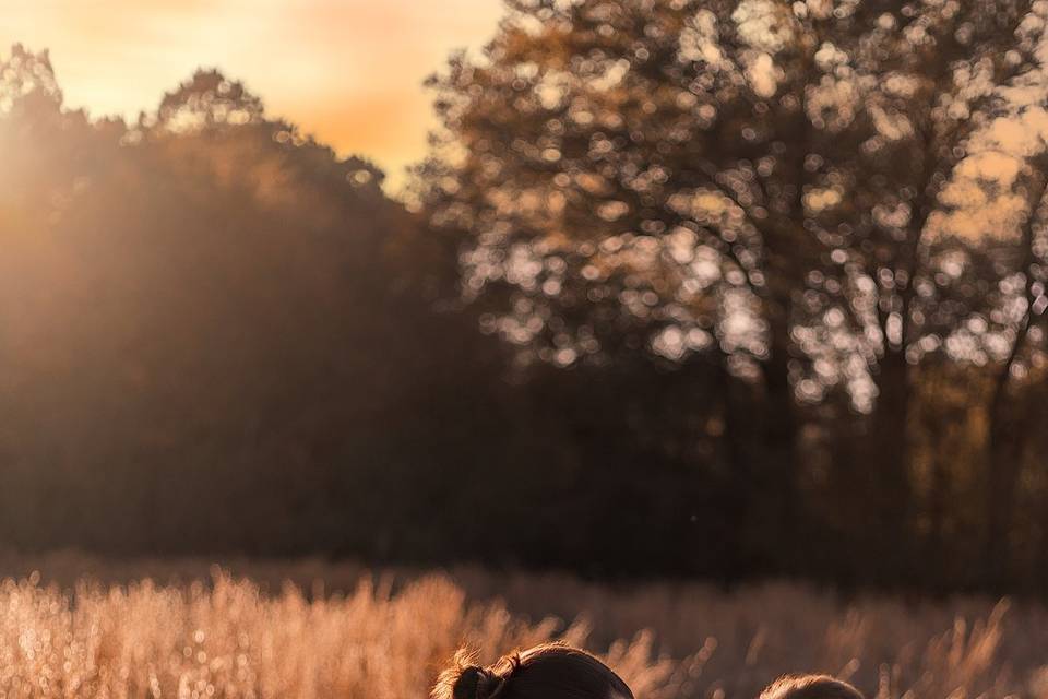 Autumn Field-20
