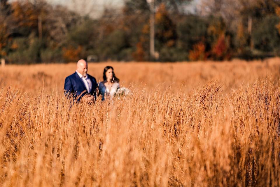 Autumn Field-03
